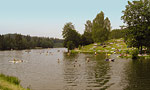 Badeseen im Bayerischen Wald