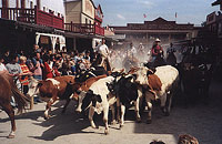 Pullman City